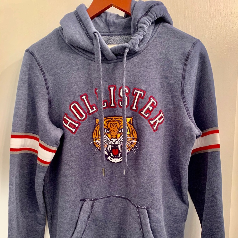 Hollister Hooded Sweatshirt